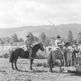 6. Campo en Talca. Fotografía de Armindo Cardoso, 1972.