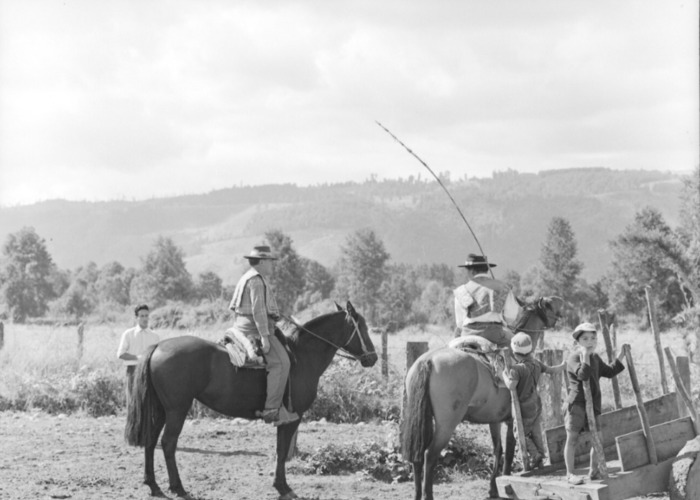 6. Campo en Talca. Fotografía de Armindo Cardoso, 1972.