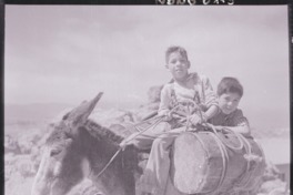 8. Dos niños de pies descalzos, montan un burro que lleva carga. Fotografía de Ignacio Hochhäusler, entre 1949 y 1960.