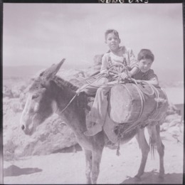 8. Dos niños de pies descalzos, montan un burro que lleva carga. Fotografía de Ignacio Hochhäusler, entre 1949 y 1960.