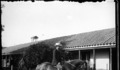 9. Escena en el campo Lepanto, Valdivia. Fotografía de Julio Bertrand Vidal, entre 1905 y 1907.