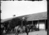 9. Escena en el campo Lepanto, Valdivia. Fotografía de Julio Bertrand Vidal, entre 1905 y 1907.