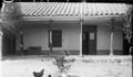 10. Escena en el campo Lepanto, Valdivia. Fotografía de Julio Bertrand Vidal, entre 1905 y 1907.