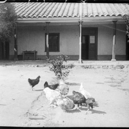10. Escena en el campo Lepanto, Valdivia. Fotografía de Julio Bertrand Vidal, entre 1905 y 1907.