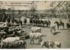 11. Huasos apartando ganado. Tarjeta postal, entre entre 1911 y 1916.