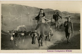12. Escena campestre. Tarjeta postal, entre 1955 y 1965.