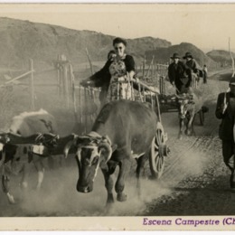 12. Escena campestre. Tarjeta postal, entre 1955 y 1965.