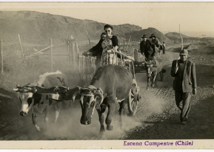 12. Escena campestre. Tarjeta postal, entre 1955 y 1965.
