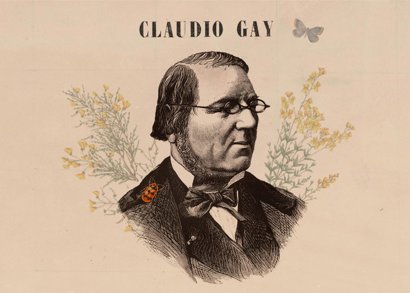 Claudio Gay