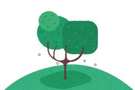 El árbol de la plata