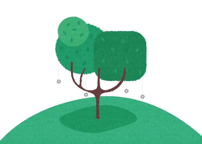 El árbol de la plata